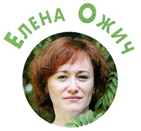Иллюстрация к книге — Мой папа – мальчик [i_002.jpg]