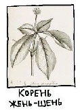 Иллюстрация к книге — Сказка с подробностями [i_123.jpg]