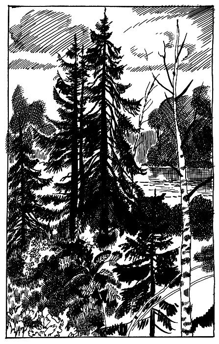 Иллюстрация к книге — Стальное колечко (сборник) [st_kol11.jpg]