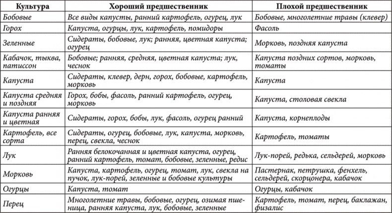 Иллюстрация к книге — Золотые советы хозяюшки [i_039.jpg]
