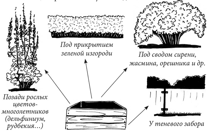 Иллюстрация к книге — Секреты доброй почвы для чудо-урожая [i_029.jpg]