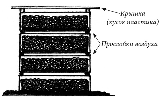 Иллюстрация к книге — Секреты доброй почвы для чудо-урожая [i_031.jpg]