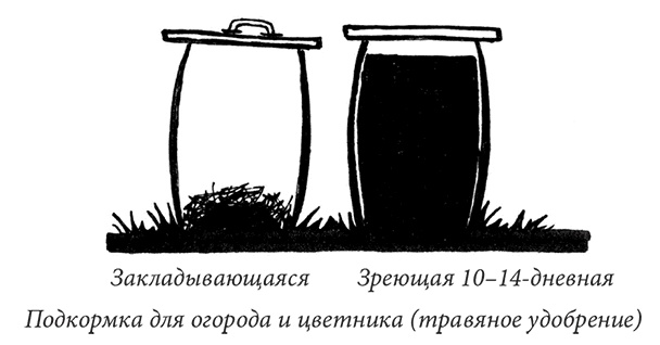 Иллюстрация к книге — Секреты доброй почвы для чудо-урожая [i_048.jpg]