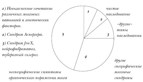 Введение в психологическую теорию аутизма Введение в психологическую теорию аутизма