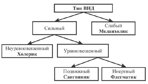 Иллюстрация к книге — Переходим в пятый класс! Экспресс-диагностика готовности к обучению в основной школе [i_012.jpg]