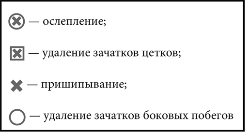 Иллюстрация к книге — Секреты раннего урожая. Все о парниках, теплицах и подготовке семян [i_098.jpg]