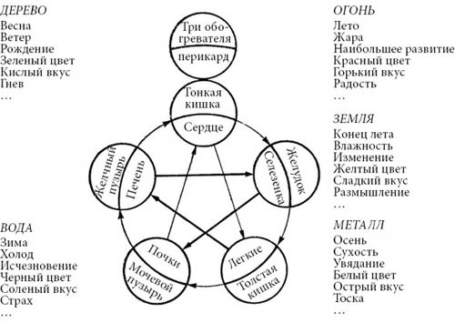 Иллюстрация к книге — Целительные точки нашего тела [_02.jpg]