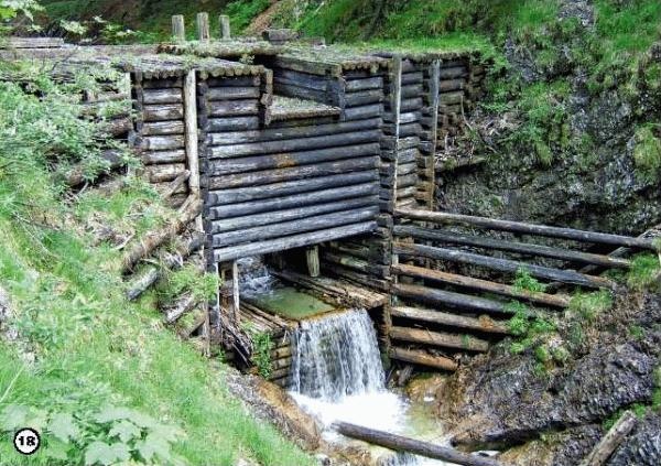 Иллюстрация к книге — История леса. Взгляд из Германии [i_018.jpg]