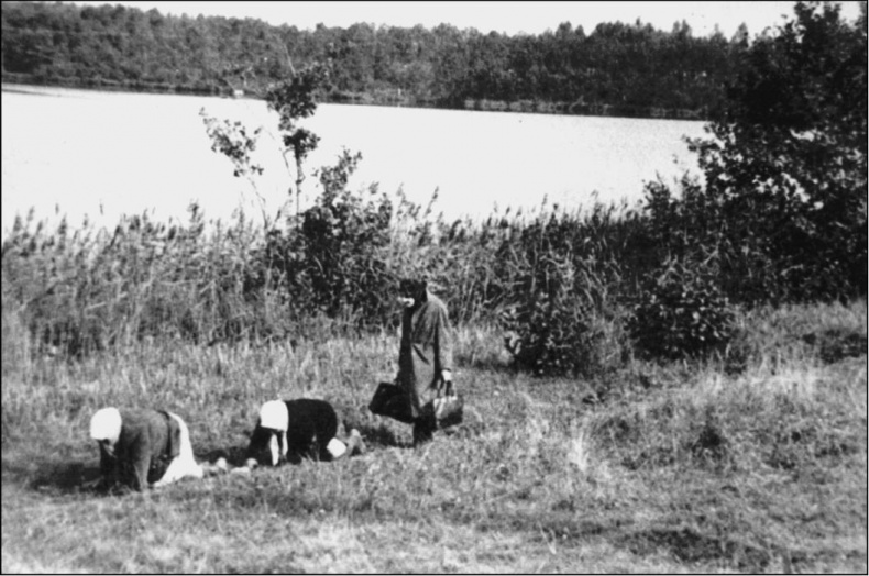 Иллюстрация к книге — Град Камен. Путешествие в Китеж [_11_fmt.jpg]