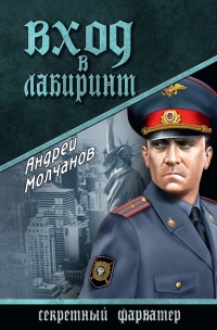 Книга Вход в лабиринт Книга Вход в лабиринт