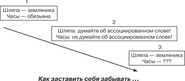Иллюстрация к книге — Удивительные истории о мозге, или рекорды памяти коноплянки [i_001.jpg]