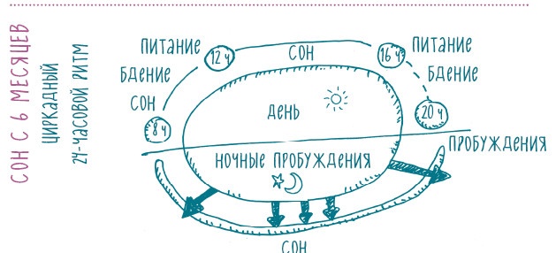 Иллюстрация к книге — Как научить ребенка спать. Революционный метод доктора Эстивиля [i_033.jpg]