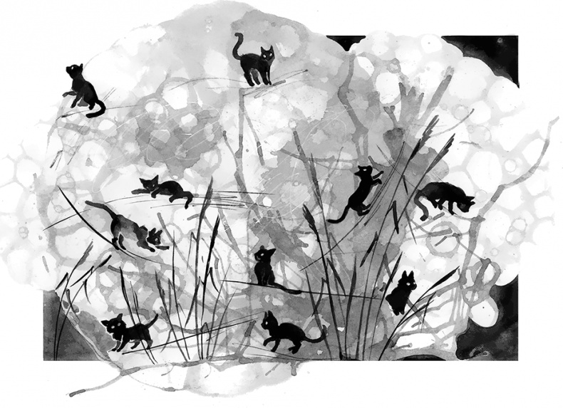 Иллюстрация к книге — Южнорусское Овчарово [i_019.jpg]