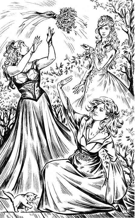 Иллюстрация к книге — Фея для лорда тьмы [i_007.jpg]