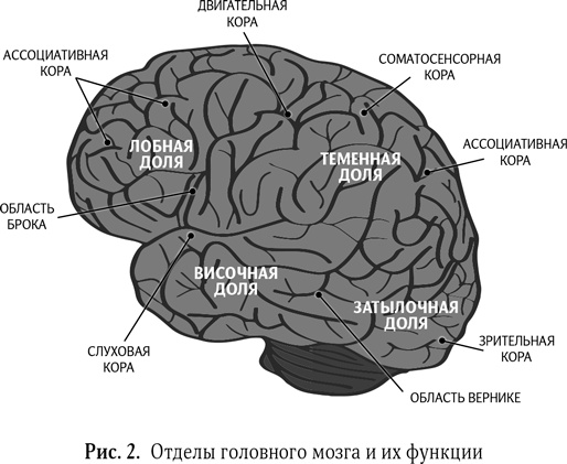 Иллюстрация к книге — Воспитание без шаблонов. Научитесь слышать своего ребенка [i_003.jpg]