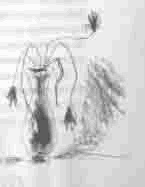 Иллюстрация к книге — Чудаки и зануды [i_018.jpg]