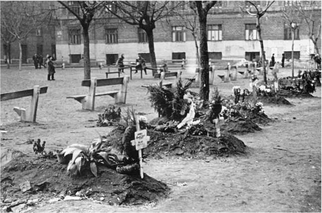 Иллюстрация к книге — Венгерский кризис 1956 года в исторической ретроспективе [i_009.jpg]