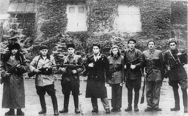 Иллюстрация к книге — Венгерский кризис 1956 года в исторической ретроспективе [i_037.jpg]