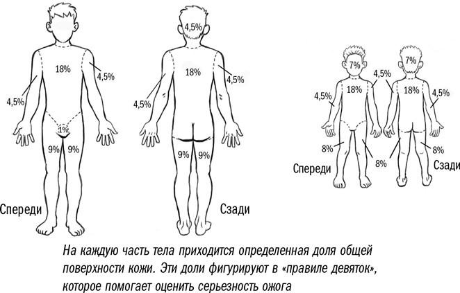 Иллюстрация к книге — Первая помощь своими руками. Если скорая не спешит [i_012.jpg]
