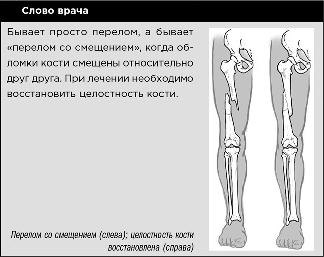 Иллюстрация к книге — Первая помощь своими руками. Если скорая не спешит [i_017.jpg]