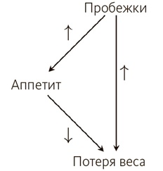 Иллюстрация к книге — Почему. Руководство по поиску причин и принятию решений [i_013.jpg]