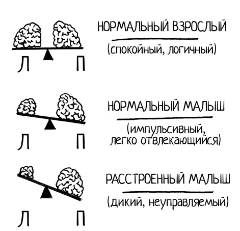 Иллюстрация к книге — Самый счастливый малыш на детской площадке. Как воспитывать ребенка от года до четырех лет дружелюбным, терпеливым и послушным [i_006.jpg]