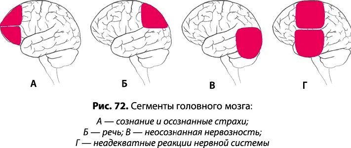 Иллюстрация к книге — Тайное знание не для всех. Секреты целителя [_0504.jpg]