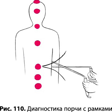 Иллюстрация к книге — Тайное знание не для всех. Секреты целителя [_0729.jpg]