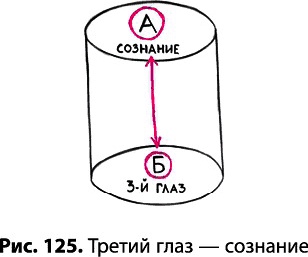 Иллюстрация к книге — Тайное знание не для всех. Секреты целителя [_0901.jpg]