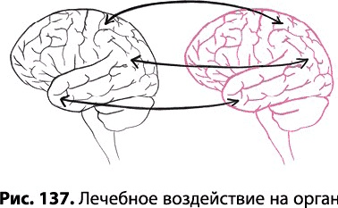 Иллюстрация к книге — Тайное знание не для всех. Секреты целителя [_0969.jpg]