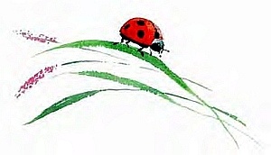 Иллюстрация к книге — Сибирский валенок [i_011.jpg]