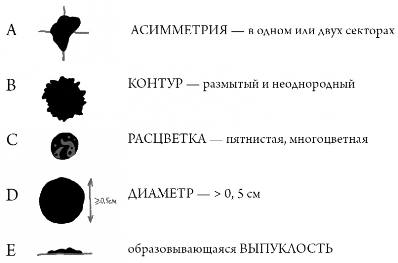 Что скрывает кожа. 2 квадратных метра, которые диктуют, как нам жить