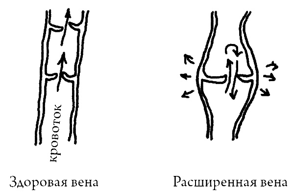 Что скрывает кожа. 2 квадратных метра, которые диктуют, как нам жить