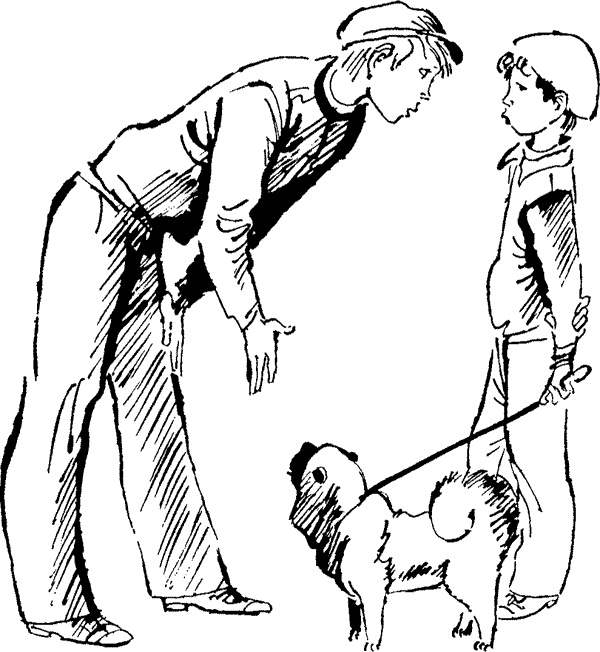 Иллюстрация к книге — Жизнь и приключения чудака [i_027.jpg]