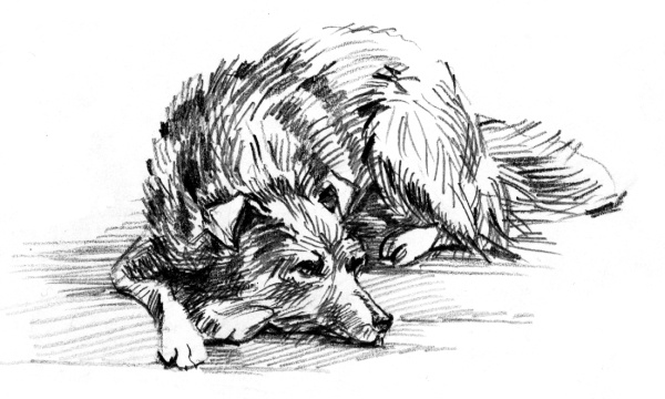 Иллюстрация к книге — Белый пудель [i_012.jpg]