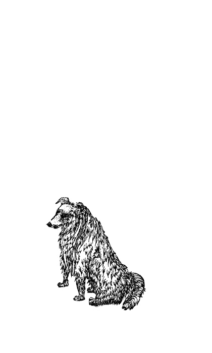 Иллюстрация к книге — Мой верный друг Тэм [img1.jpg]