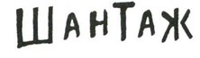 Иллюстрация к книге — Осторожно, Питбуль-Терье! [i_019.jpg]