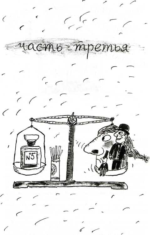 Иллюстрация к книге — Тайны запаха и вкуса [i_029.jpg]