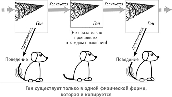 Иллюстрация к книге — Начало бесконечности. Объяснения, которые меняют мир [i_048.jpg]