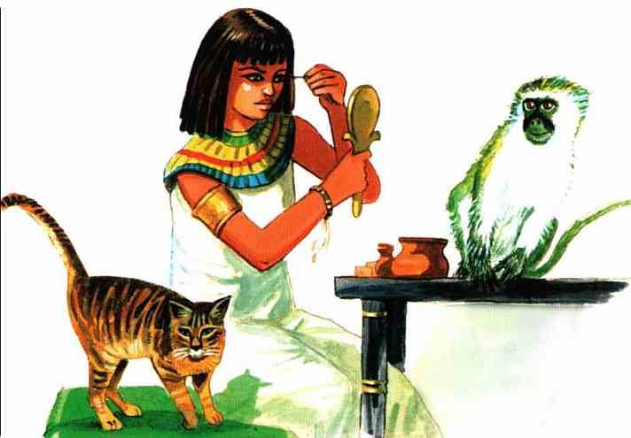 Иллюстрация к книге — Древний Египет [i_064.jpg]