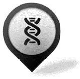 Иллюстрация к книге — Фрукторианство. Новый взгляд на эволюцию питания человека [_017_2.jpg]