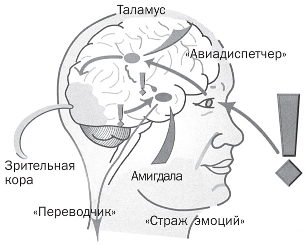 Иллюстрация к книге — Спасите заложника. Как разрешать конфликты и влиять на людей [i_008.jpg]