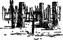 Иллюстрация к книге — Последний инка [any2fbimgloader4.jpg]