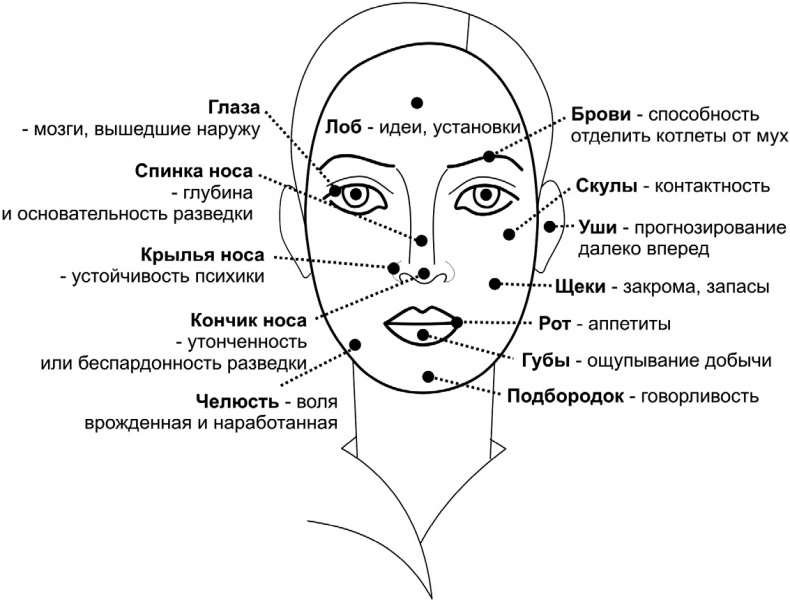 Иллюстрация к книге — Читай лица! Специальная методика чтения лиц и эмоций [i_025.jpg]