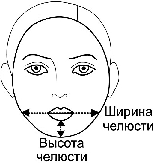 Иллюстрация к книге — Читай лица! Специальная методика чтения лиц и эмоций [i_041.jpg]