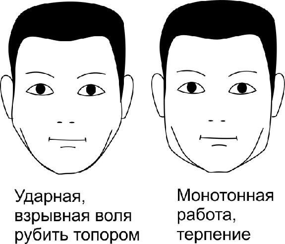 Иллюстрация к книге — Читай лица! Специальная методика чтения лиц и эмоций [i_053.jpg]