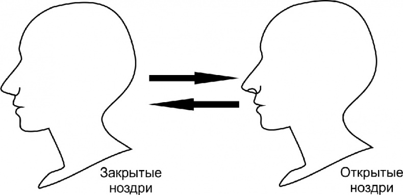 Иллюстрация к книге — Читай лица! Специальная методика чтения лиц и эмоций [i_205.jpg]