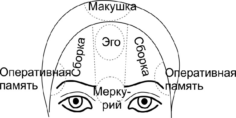 Иллюстрация к книге — Читай лица! Специальная методика чтения лиц и эмоций [i_421.jpg]
