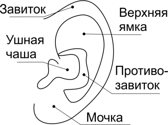 Иллюстрация к книге — Читай лица! Специальная методика чтения лиц и эмоций [i_461.jpg]