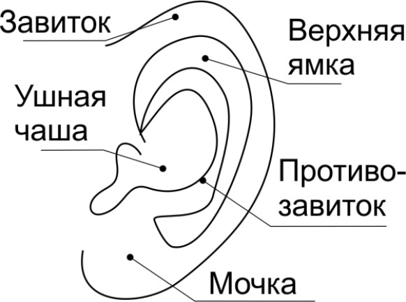 Иллюстрация к книге — Читай лица! Специальная методика чтения лиц и эмоций [i_462.jpg]